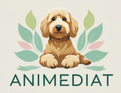 animediat app